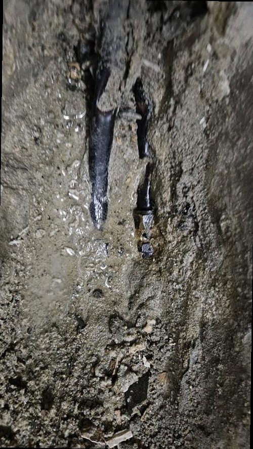 금산군 누수탐지 남이면