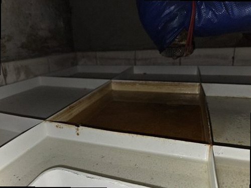 부산 강서구 누수탐지 욕실 바닥과 벽면의 수분 분포를 확인하는 현장 점검 모습