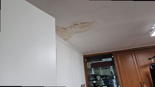 영통구 누수탐지 수도계량기 별침과 배관 압력 게이지를 확인하는 점검 과정