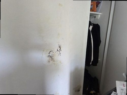 양천구 누수탐지 천장 누수 흔적과 배관 위치를 비교하는 점검 모습