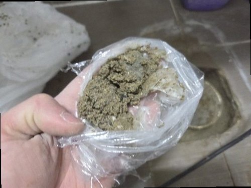세종시 누수탐지 천장 물자국과 곰팡이 발생 상태를 확인하는 모습