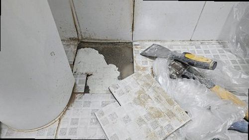 일산서구 누수탐지 배관 압력 검사와 누수 위치 확인 장비