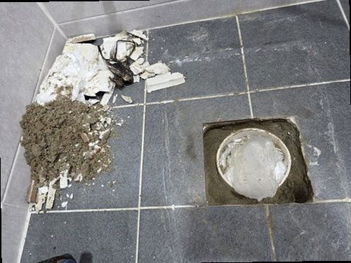 덕양구 누수탐지 욕실 천장 물자국과 백화 흔적을 확인하는 현장