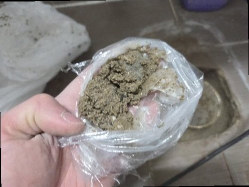 천안시 동남구 누수탐지 벽면 얼룩과 천장 누수 흔적을 확인하는 현장 점검